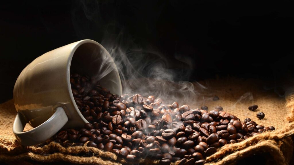 Fakten zum Kaffee